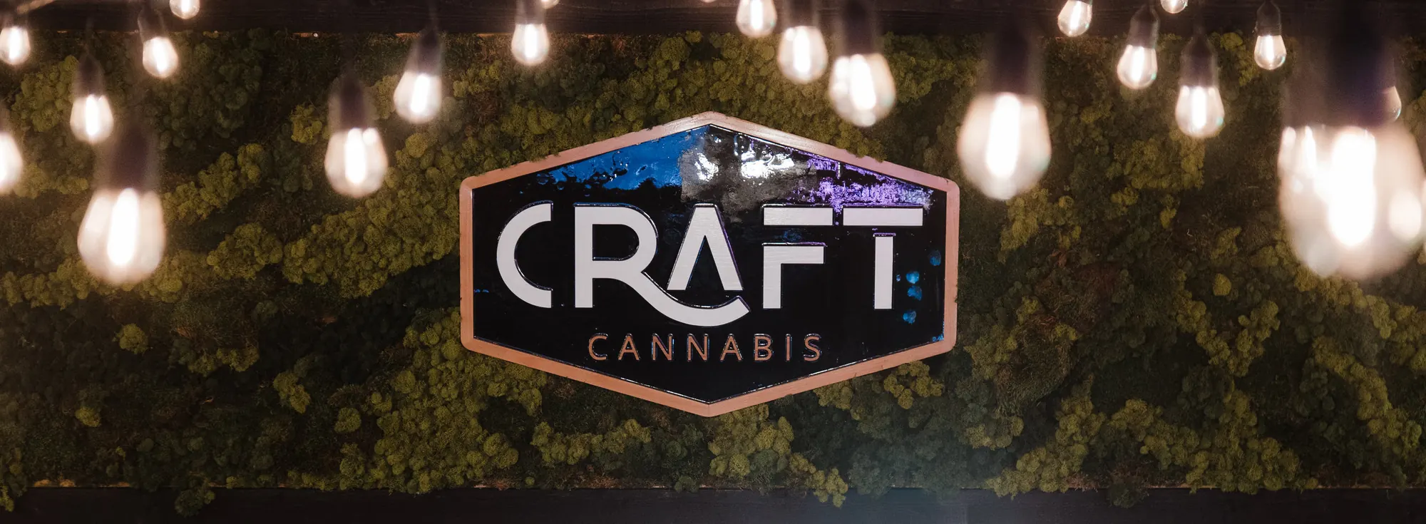 The Craft Cannabis logo on a living moss wall under string lights