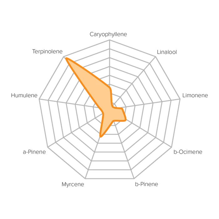 Strain Compass for the Orange profile: a radar chart of its terpene levels.