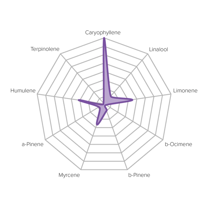 Strain Compass for the Purple profile: a radar chart of its terpene levels.