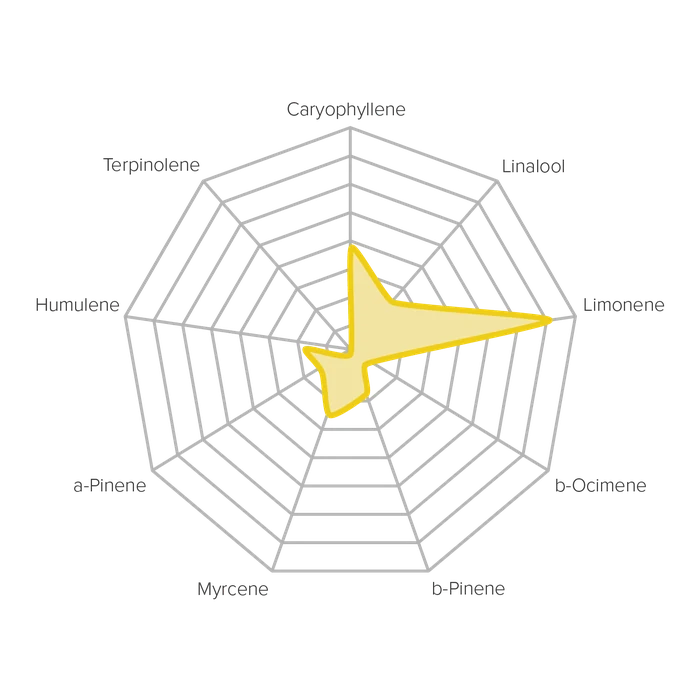 Strain Compass for the Yellow profile: a radar chart of its terpene levels.
