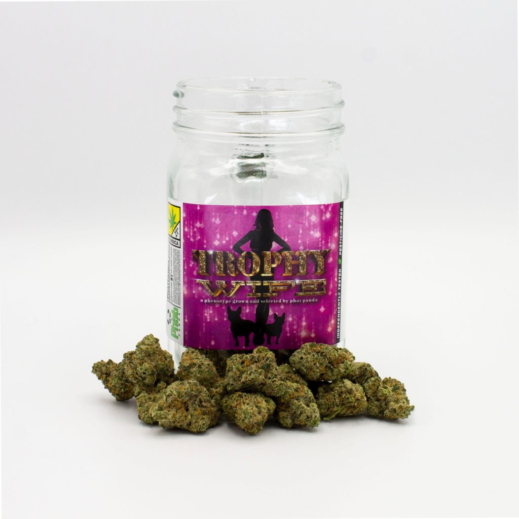 Phat Panda Pink Panties x Trophy Wife Craft Cannabis Dispensary