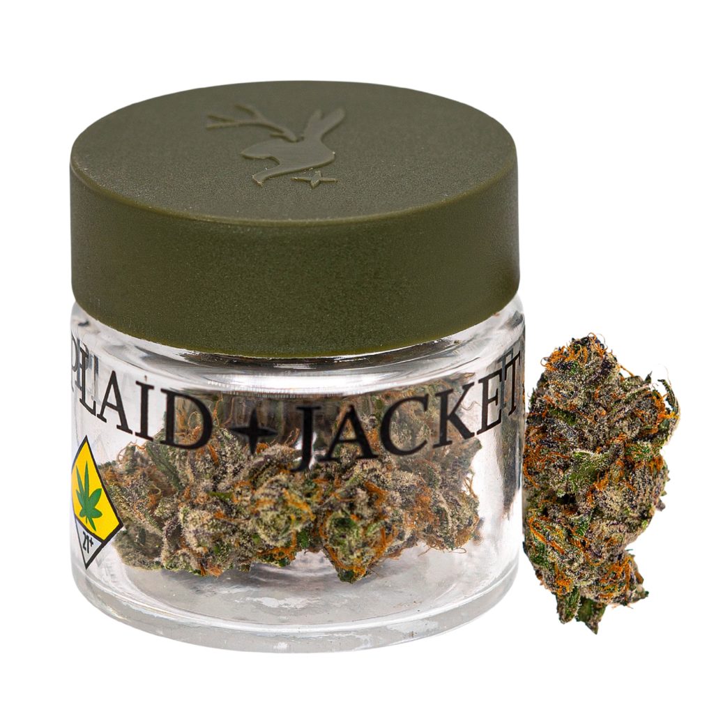 Plaid jacket specimen x craft cannabis dispensary
